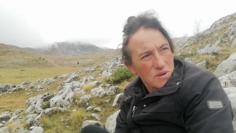 Gara Jovanović