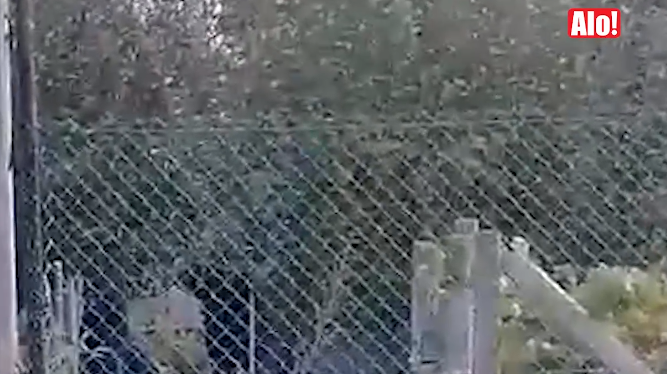 Policija pretražuje dvorište osumnjičenog za ubistvo Đokića