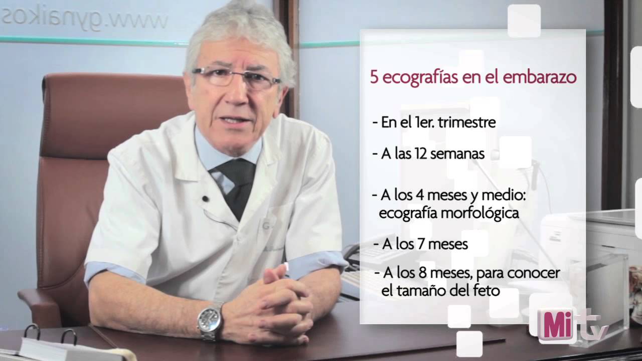 a los cuantos dias de embarazo me puedo hacer la prueba