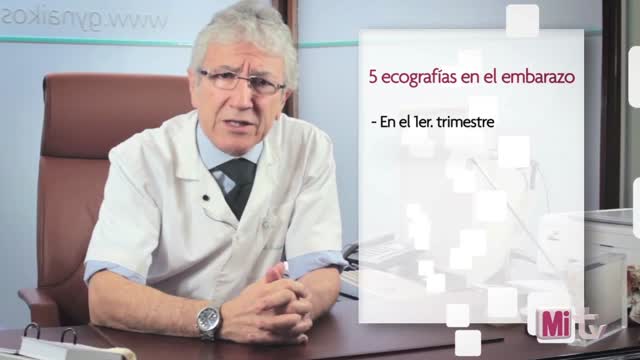 Tiempo hay que esperar para hacer un test de embarazo