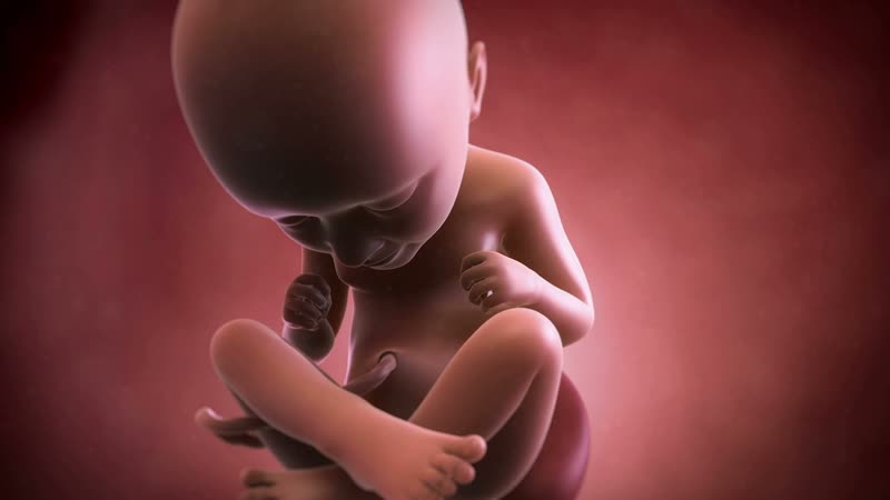 Peso de bebe a las 35 semanas de gestacion Peso de bebe a las 35 semanas de gestacion