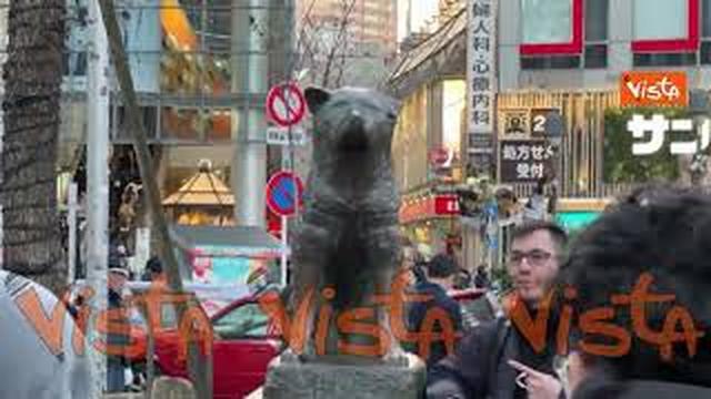 Ecco la statua di Hachiko, il cane eroe giapponese, nel quartiere Shibuya a Tokyo
